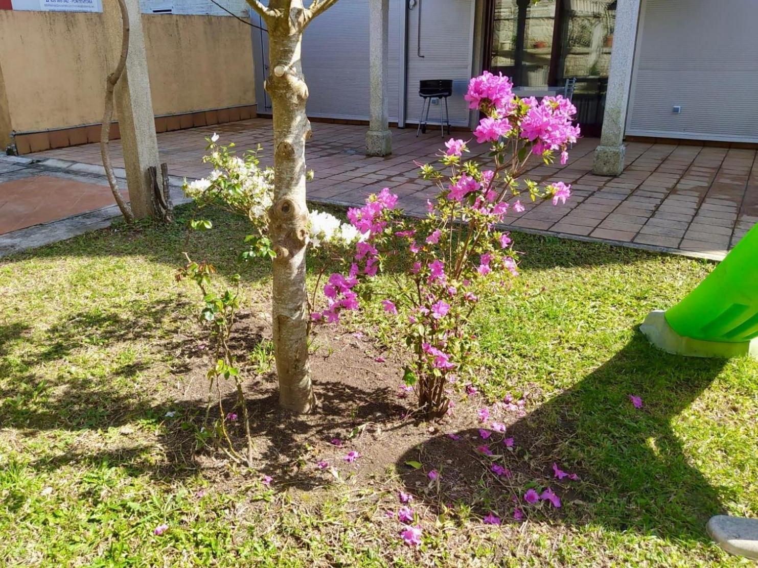 Apartamento Con Jardin Y Piscina Temporada Verano Privados Samieira Dış mekan fotoğraf
