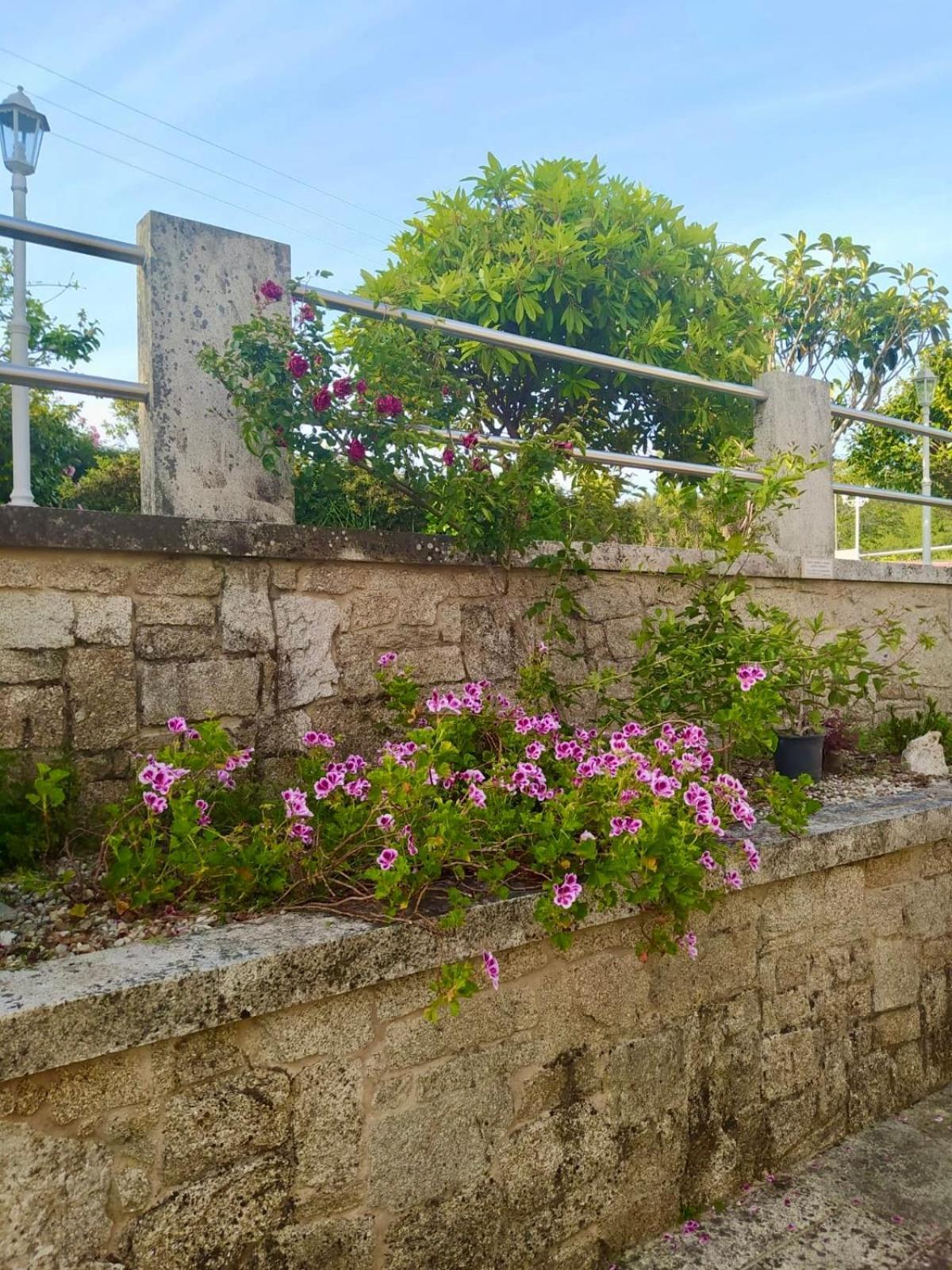 Apartamento Con Jardin Y Piscina Temporada Verano Privados Samieira Dış mekan fotoğraf